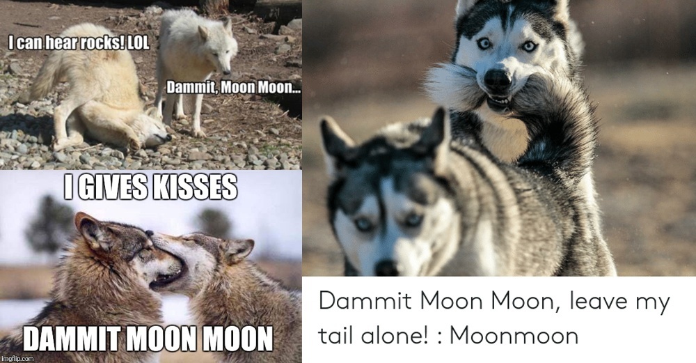 Moon Moon images
